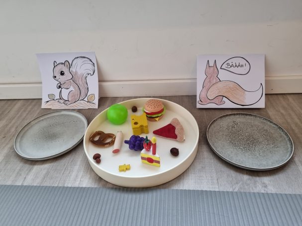 Ratespiel: Was essen Eichhörnchen?
